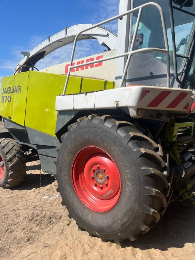 photo 1 2026 02 10 11 29 35