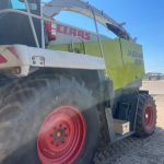 photo 2 2026 02 10 11 29 35