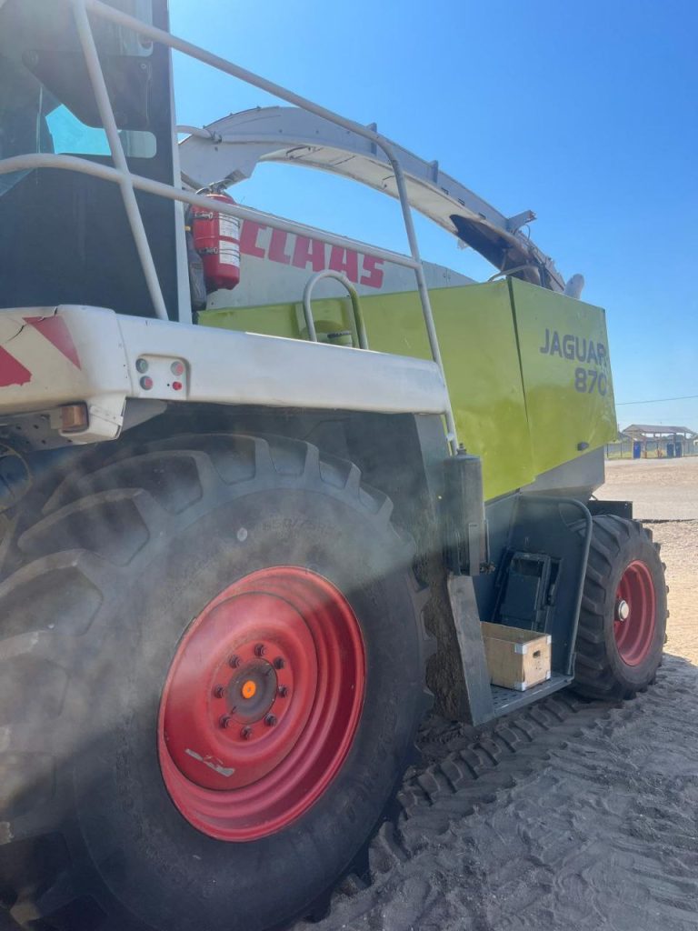 photo 2 2026 02 10 11 29 35