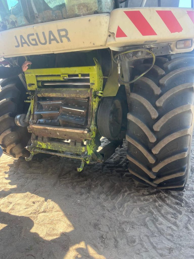 photo 3 2026 02 10 11 29 35