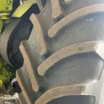 photo 5 2026 02 10 11 29 35