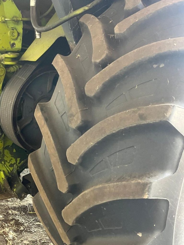 photo 5 2026 02 10 11 29 35