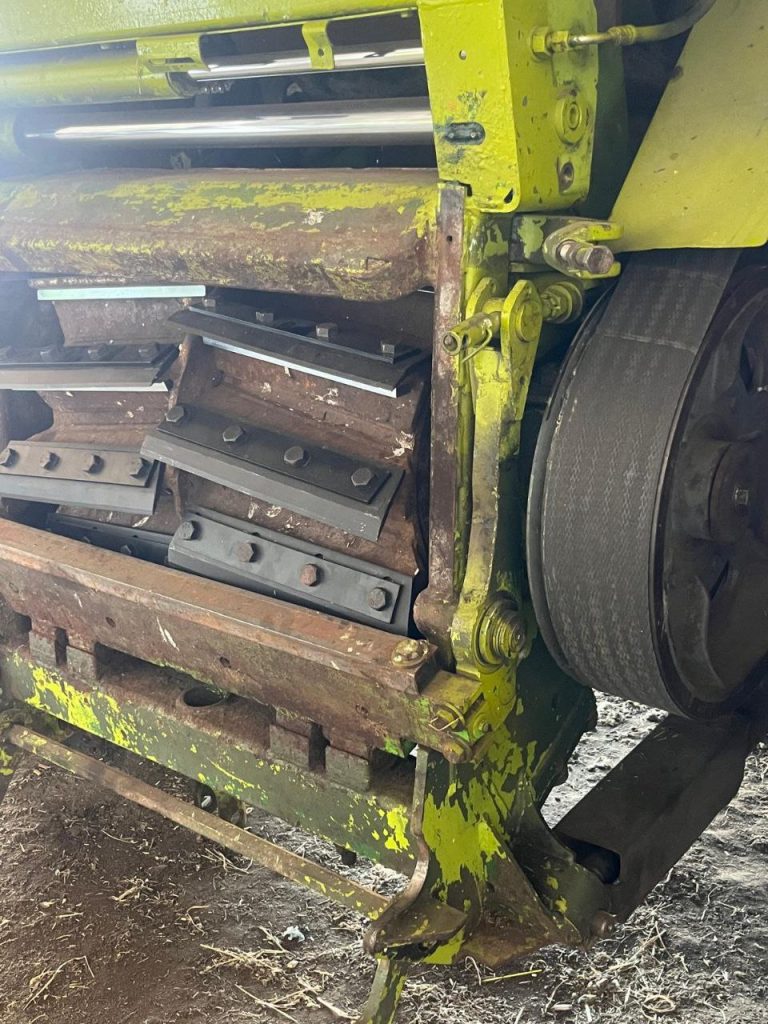 photo 6 2026 02 10 11 29 35