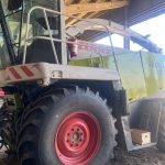 photo 9 2026 02 10 11 29 35