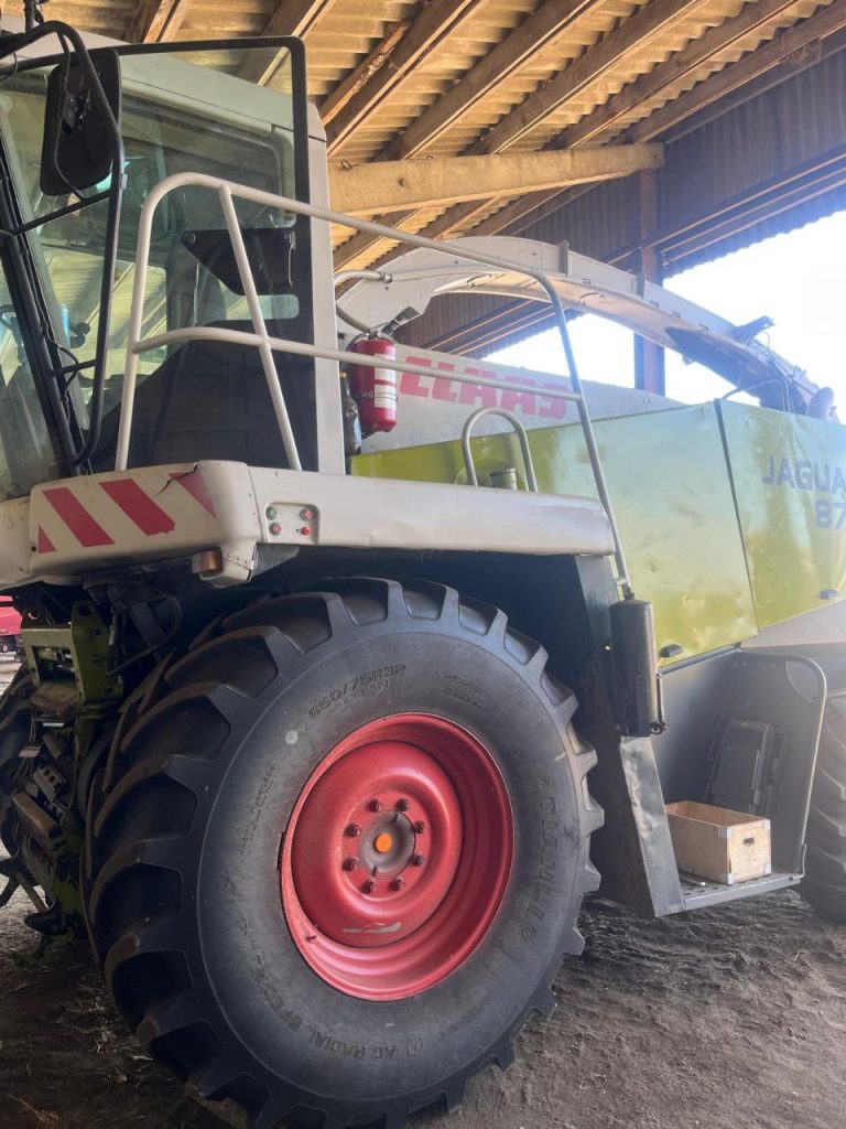 photo 9 2026 02 10 11 29 35